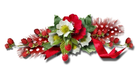 Raspberry - Flowers, Food, Raspberry, Ribbon, Feathers