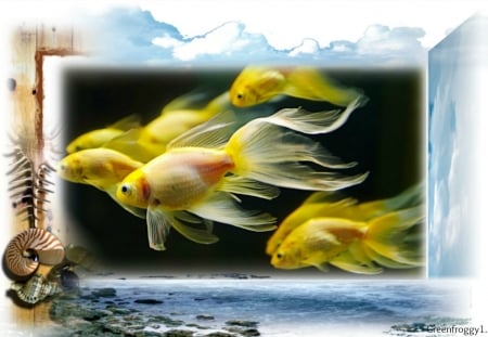 YELLOW FISH FRAMED - IMAGE, YELLOW, FISH, FRAMED