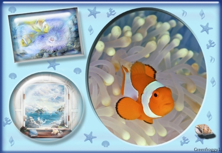 CUTE FISH - CUTE, IMAGE, FISH, FRAMED