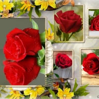 FRAMED RED ROSES