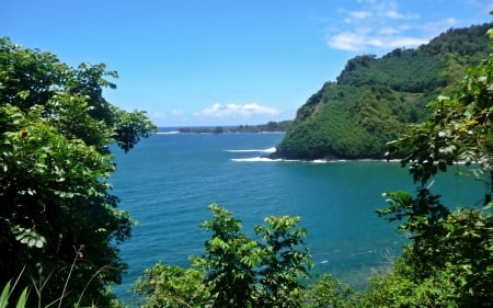 Beautiful view - summer, ocean, tree, sea