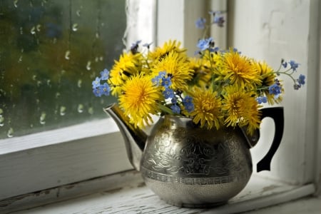 Beautiful Flowers - Window, Kettle, Dandello, Bouquet, Dandellions