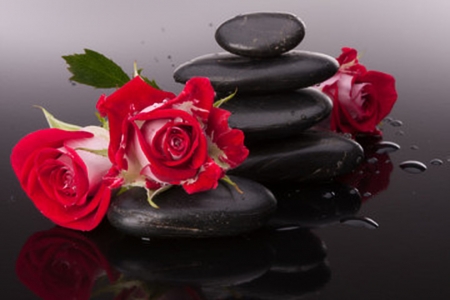 Stones and Roses - spa, stones, roses, petals