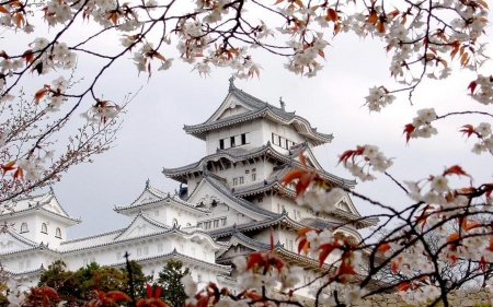 Himeji Castle, Himeji, Japan - White Castle, Spring, Japan, Cherry blossoms, Architecture