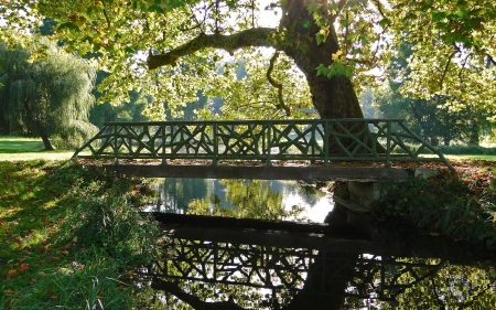 Bridge in Park - nature, park, tree, canal, bridge