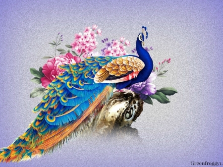 COLOURFUL PEACOCK