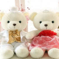 Mr And Mrs Teddy Bear