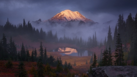 Mount Rainier in Morning Mist, Washington - wilderness, landscape, peak, trees