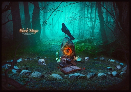 Black Magic - abstract, dark, raven, magic