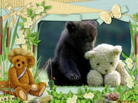 A BEAR AND HIS TEDDY - framed, image, bear, teddy