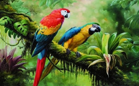 Parrots on branch - Jungle, Macaw, Wildlife, Rainforest