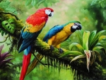 Parrots on branch