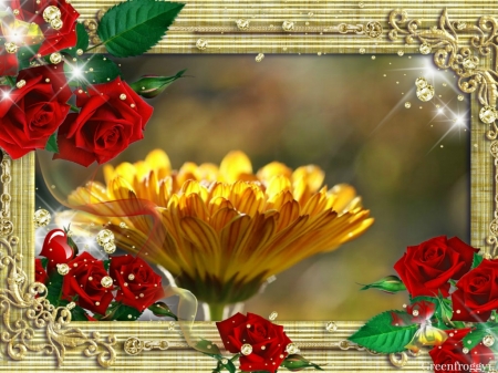 FLOWER FRAMED