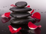 Zen stones and petals