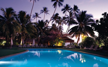 Swimming pool - palms, water, tropical, resort