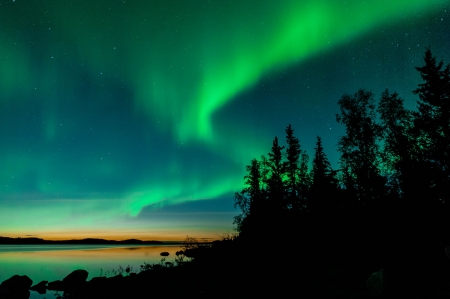 Summer Aurora - sky, aurora borealis, lake, trees, colors, northern light