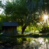 House Sunset