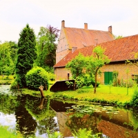 Home Backyard Landscape