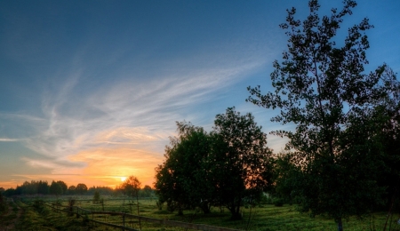 Wonderful Moments - nature, sky, tree, sunset