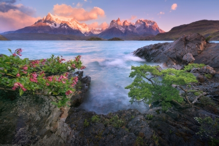 Beautiful place for the weekend - clouds, lake, flower, tree