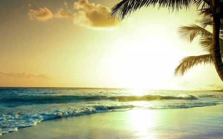 Summer Holiday - palms, beach, exotic, waves