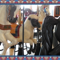 Carousel Sheep