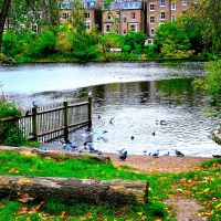 Green Spring Lake