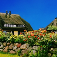 Rugen Island Thatched