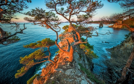 Stony Bay - sky, water, tree, sea, rocks