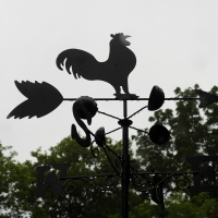 Rooster Weather Vane