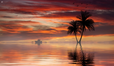 Palm trees - palm trees, river, water, sunset, boat