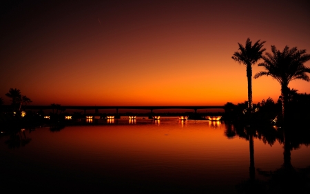 Sunset - palm trees, evening, reflection, water, night, dubai