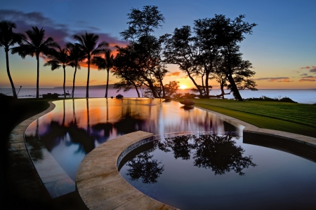 Hawaii - palm trees, reflection, island, sunset, usa