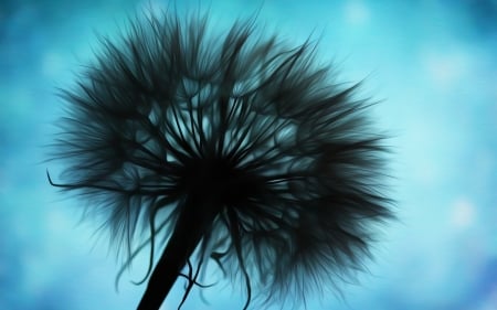 Dandelion - silhouette, black, blue, dandelion