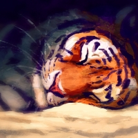 Sleeping tiger