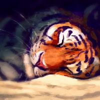 Sleeping tiger