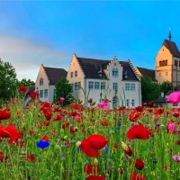 Reichenau Island