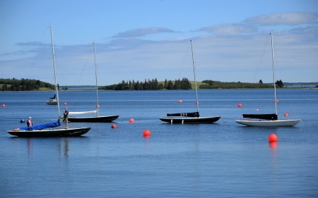 Marina in Chester, Canada - marina, blue, sailboats, Canada