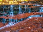 Mini Waterfalls in Zion Nat'l. Park, Utah