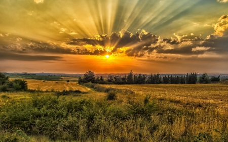 Beautiful Sunset - clouds, sunrays, trees, fields, landscape, colors, sun, sky