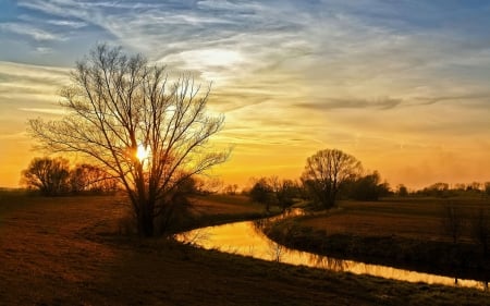 Sunset - tree, sunset, river, sun