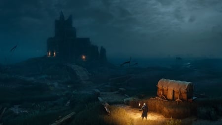 The witcher - game, luminos, castle, fantasy, the witcher