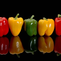 Colorful pepper