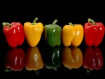 Colorful pepper