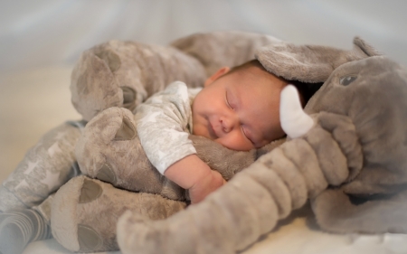 :-) - sleep, elephant, baby, toy, copil, child, cute