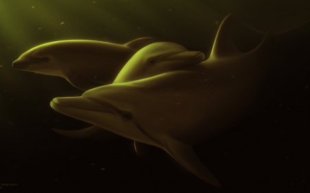 Dolphins - olphin, art, vara, luminos, summer, ciorano, fantasy, underwater