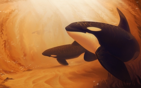 Whales - black, whale, fantasy, ciorano, underwater, orange, art, luminos