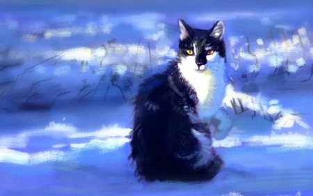 Cat - winter, blue, meorow, snow, cat, black, white, animal, iarna, pisici