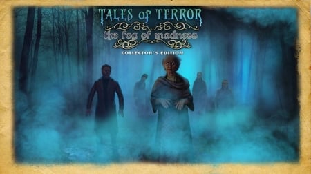 Tales of Terror 5 - The Fog of Madness06 - hidden object, cool, video games, fun, puzzle