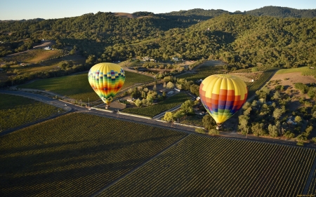 Hot Air Balloons - field, hills, aerial, hot air balloons